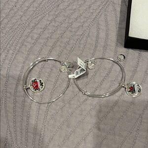 Alex and Ani mother and daughter, unbreakable bond bracelet set